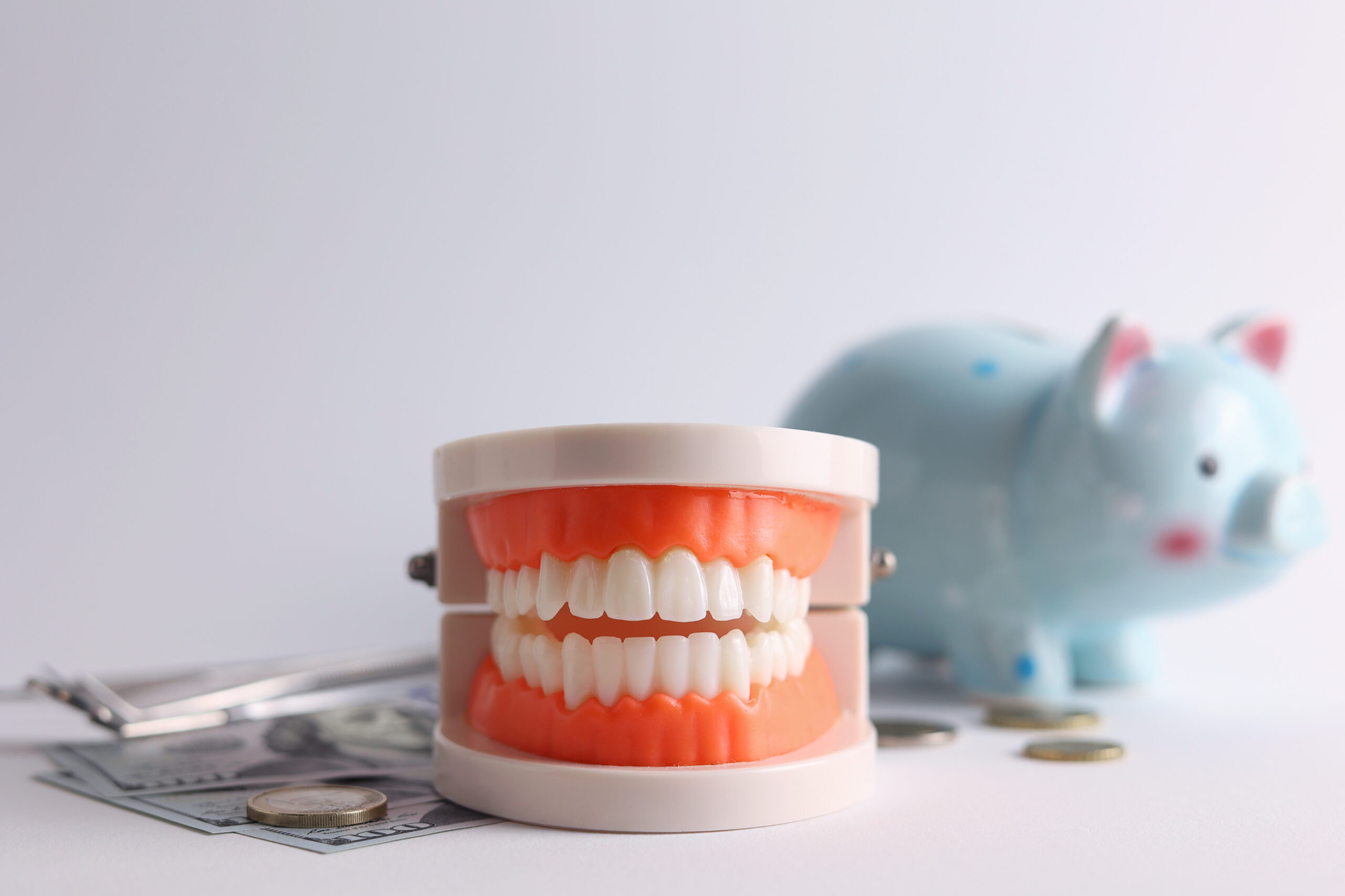 Dental model of teeth and money. The price of dental services.